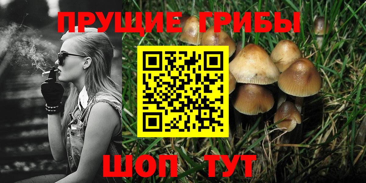 Псилоцибиновые грибы Cubensis  Вход с VPN  Димитровград 